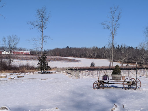 Winery «Sunset Meadow Vineyards», reviews and photos, 599 Old Middle St, Goshen, CT 06756, USA