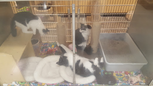 Pet Supply Store «PetSmart», reviews and photos, 2750 Carl T Jones Dr SE, Huntsville, AL 35802, USA