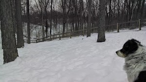 Scout Dog Park - photo 23