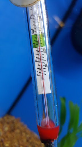 Pet Supply Store «Pet Supplies Plus», reviews and photos, 305 Sidney Baker St S #400, Kerrville, TX 78028, USA