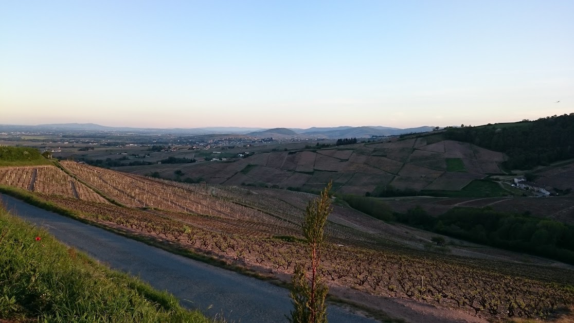 Domaine de la Madone - L'Auberge à Fleurie