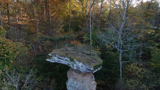 Nature Preserve «Jug Rock Nature Preserve», reviews and photos, Albright Ln, Shoals, IN 47581, USA