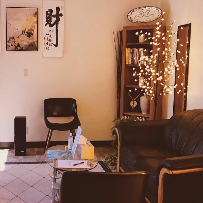 The Center for Holistic Wellness