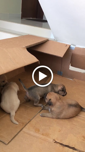 Department Store «Marshalls», reviews and photos, 1431 NY-300, Newburgh, NY 12550, USA