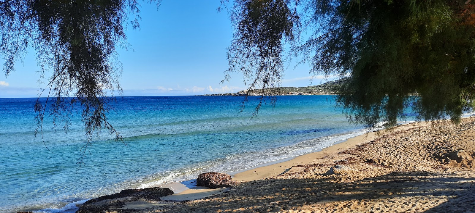 Foto de Praia de Aregno - lugar popular entre os apreciadores de relaxamento