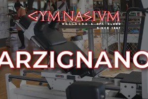 Gymnasium Arzignano (ex Sporting Life) image