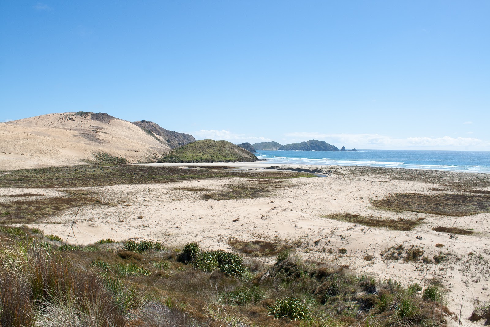 Photo of Te Werahi Beach with very clean level of cleanliness