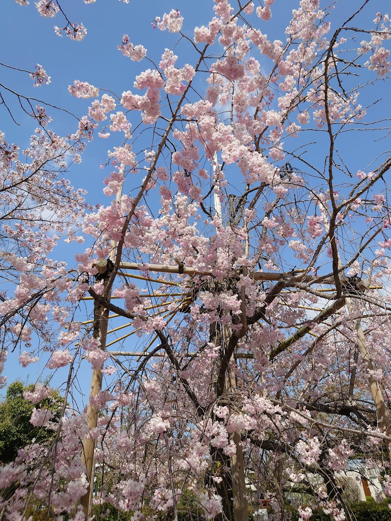 元茨木川緑地(玉櫛)