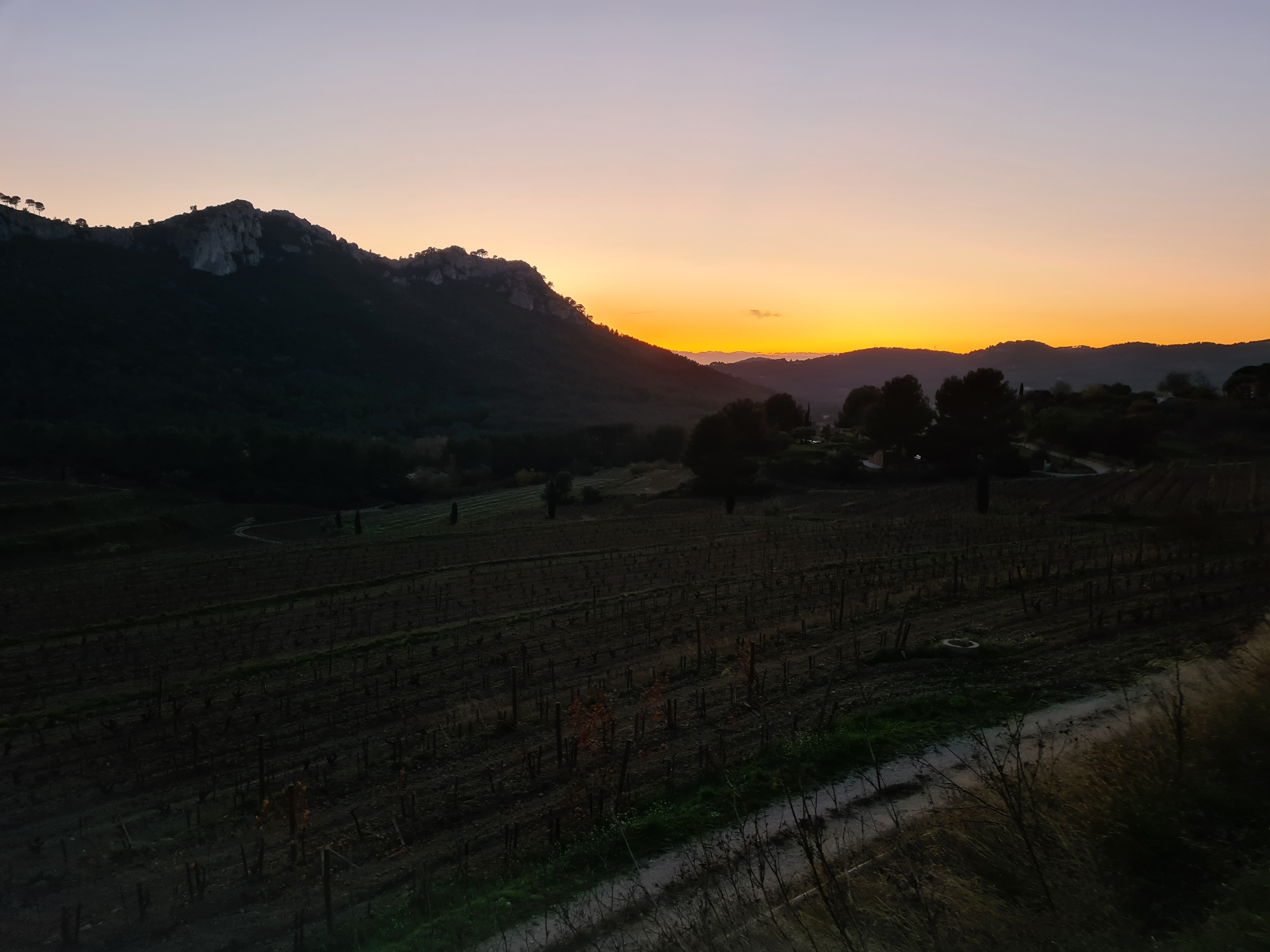Photo n° 1 de l'avis de Guillaume.e fait le 19/12/2020 à 11:54