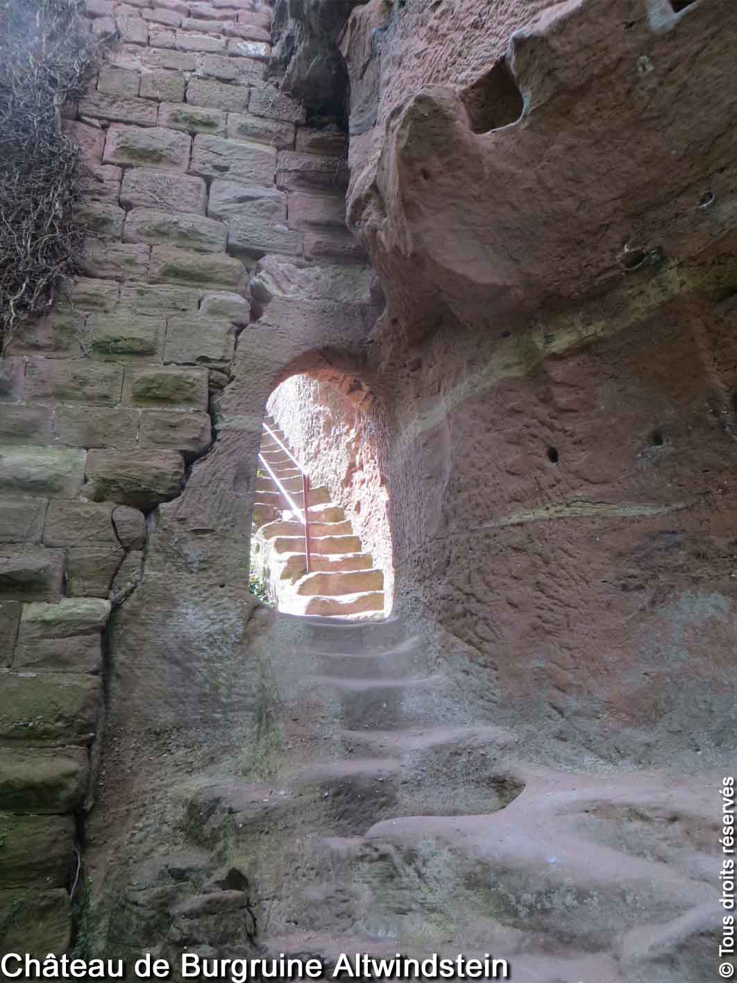 Photo n° 1 de l'avis de Curieux.e fait le 07/05/2021 à 16:43