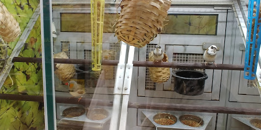 Pet Store «PetSmart», reviews and photos, 17150 Ventura Blvd, Encino, CA 91316, USA