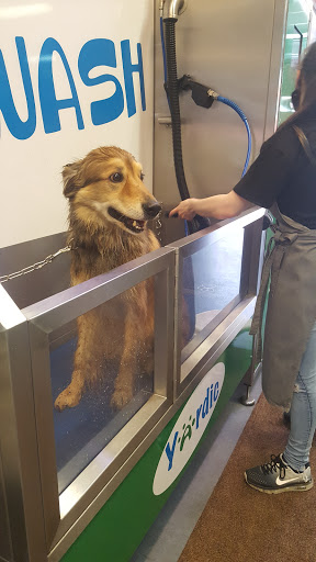 Yardic, de winkel voor dieren