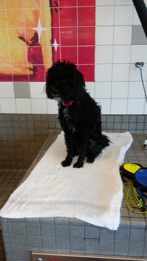 Pet Supply Store «Pet Food Express», reviews and photos, 3910 Middlefield Rd, Palo Alto, CA 94303, USA