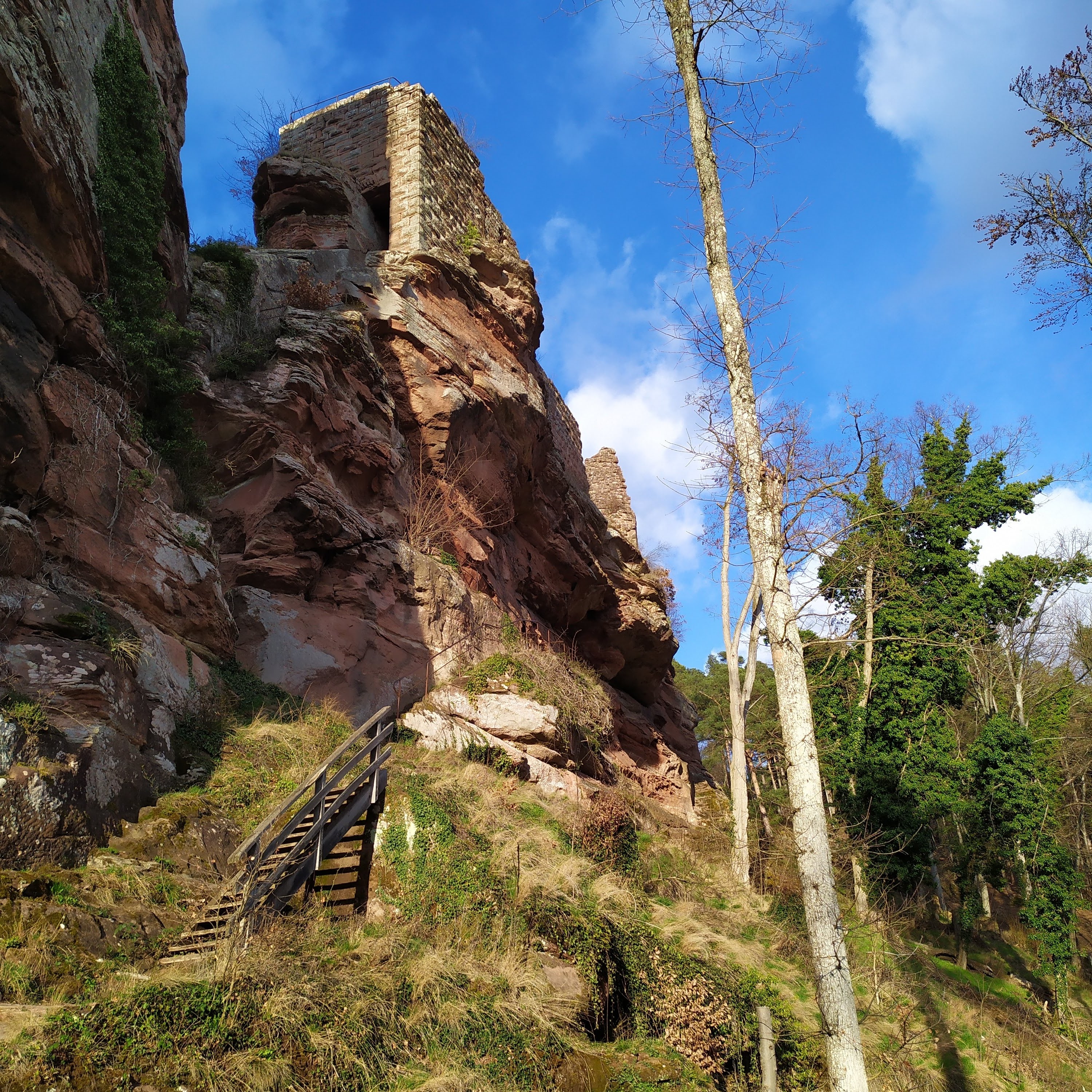Photo n° 2 de l'avis de Toto.i fait le 21/03/2021 à 20:20