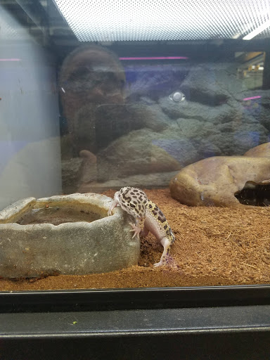 Pet Store «Super Pets», reviews and photos, 9403 E Las Tunas Dr, Temple City, CA 91780, USA