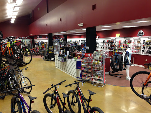 Bicycle Store «Pedal Power», reviews and photos, 520 Hartford Turnpike, Vernon, CT 06457, USA