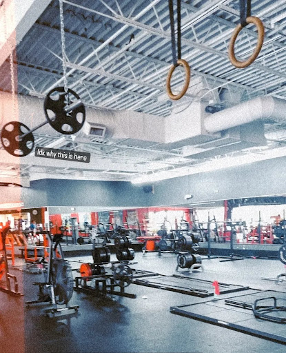 Gym «IRON RELIGION GYM - new brand (Power Strength Gym)», reviews and photos, 5247 International Dr, Orlando, FL 32819, USA