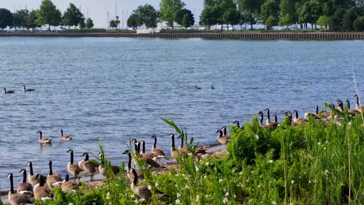 Park «Pier Park», reviews and photos, 350 Lake Shore Rd, Grosse Pointe Farms, MI 48236, USA