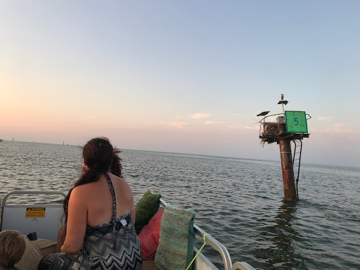 Water Sports Equipment Rental Service «Tula Adventure Sports Stand up Paddleboard & Wakeboard», reviews and photos, 2100 Marina Shores Dr #3, Virginia Beach, VA 23451, USA