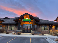 Thompson Painter Law P.C.