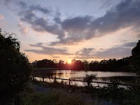 芸術むら公園