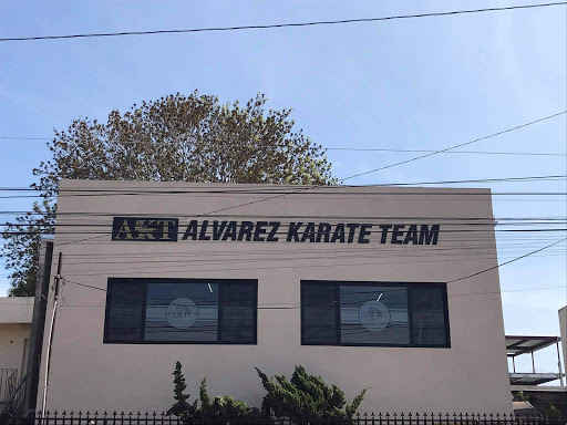 Alvarez Karate Team