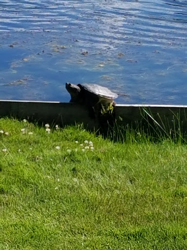 Public Golf Course «Myth Golf & Banquets», reviews and photos, 850 Stoney Creek Rd, Oakland Charter Township, MI 48363, USA