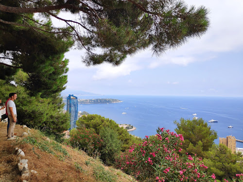 Vue Panoramique sur Monaco à Beausoleil