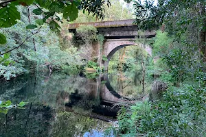 Ponte Do Ramo image