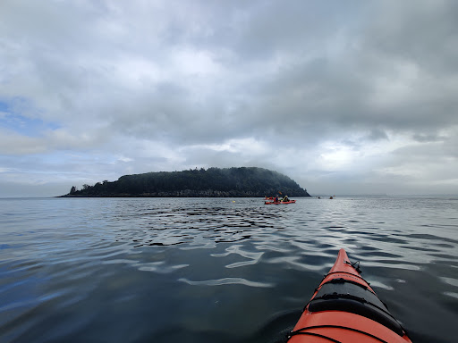 Tourist Information Center «Coastal Kayaking Tours Inc», reviews and photos, 48 Cottage St, Bar Harbor, ME 04609, USA