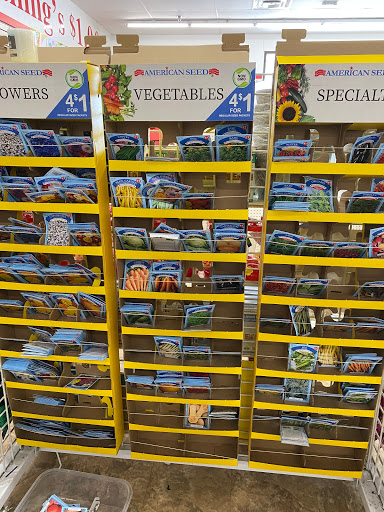 Dollar Store «Dollar Tree», reviews and photos, 5187 Murfreesboro Rd, La Vergne, TN 37086, USA