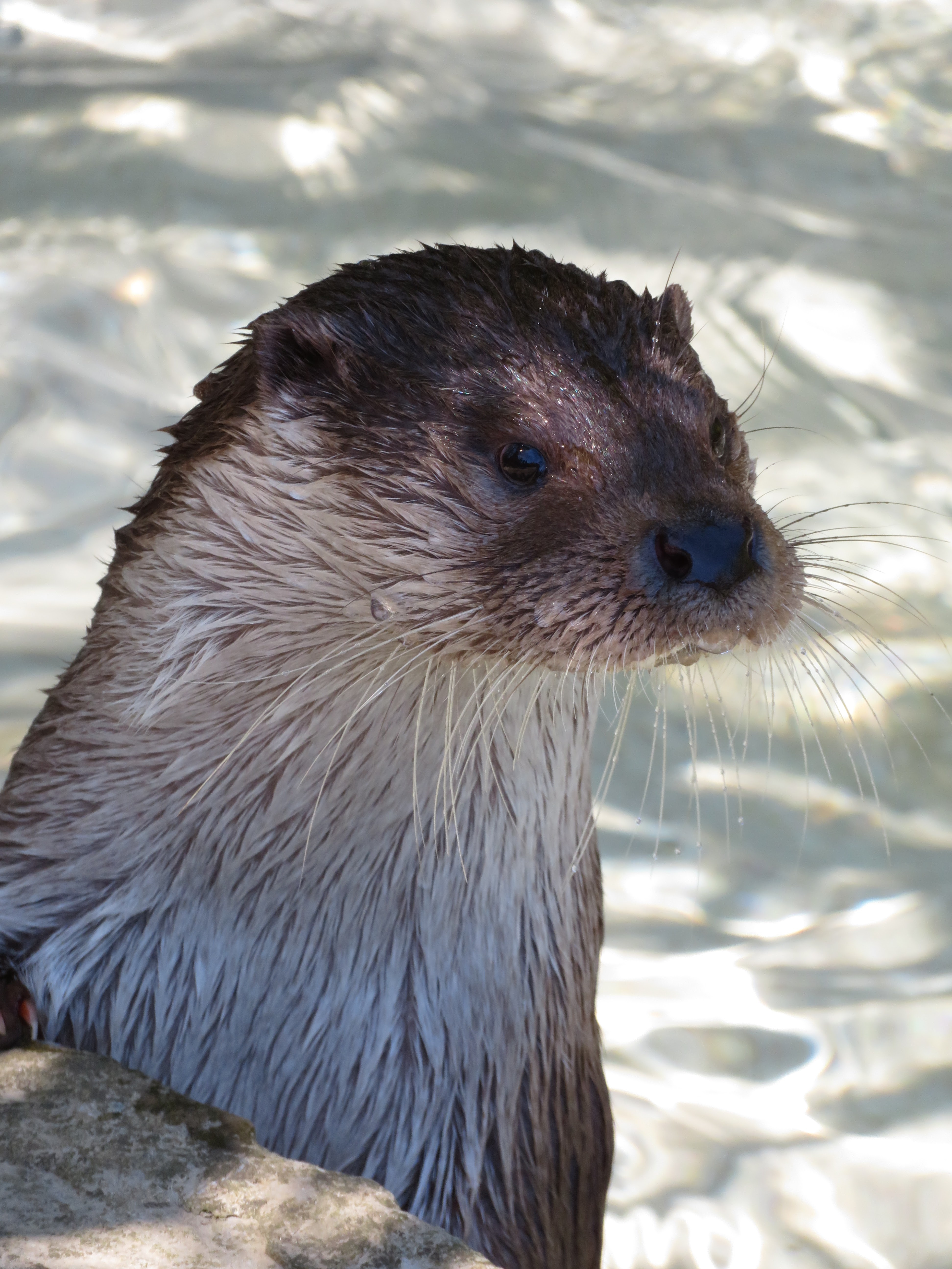 Photo n° 5 de l'avis de Pascal.E fait le 09/04/2023 à 04:13