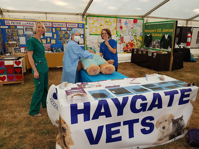 Haygate Veterinary Centre - Wellington - Veterinarian
