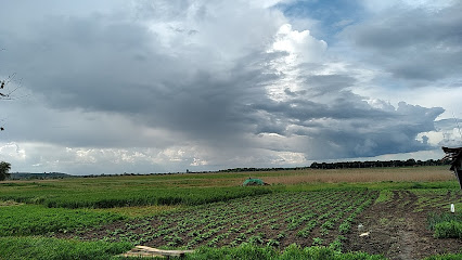 с. Перемога