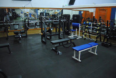 GIMNASIO ALCIDES