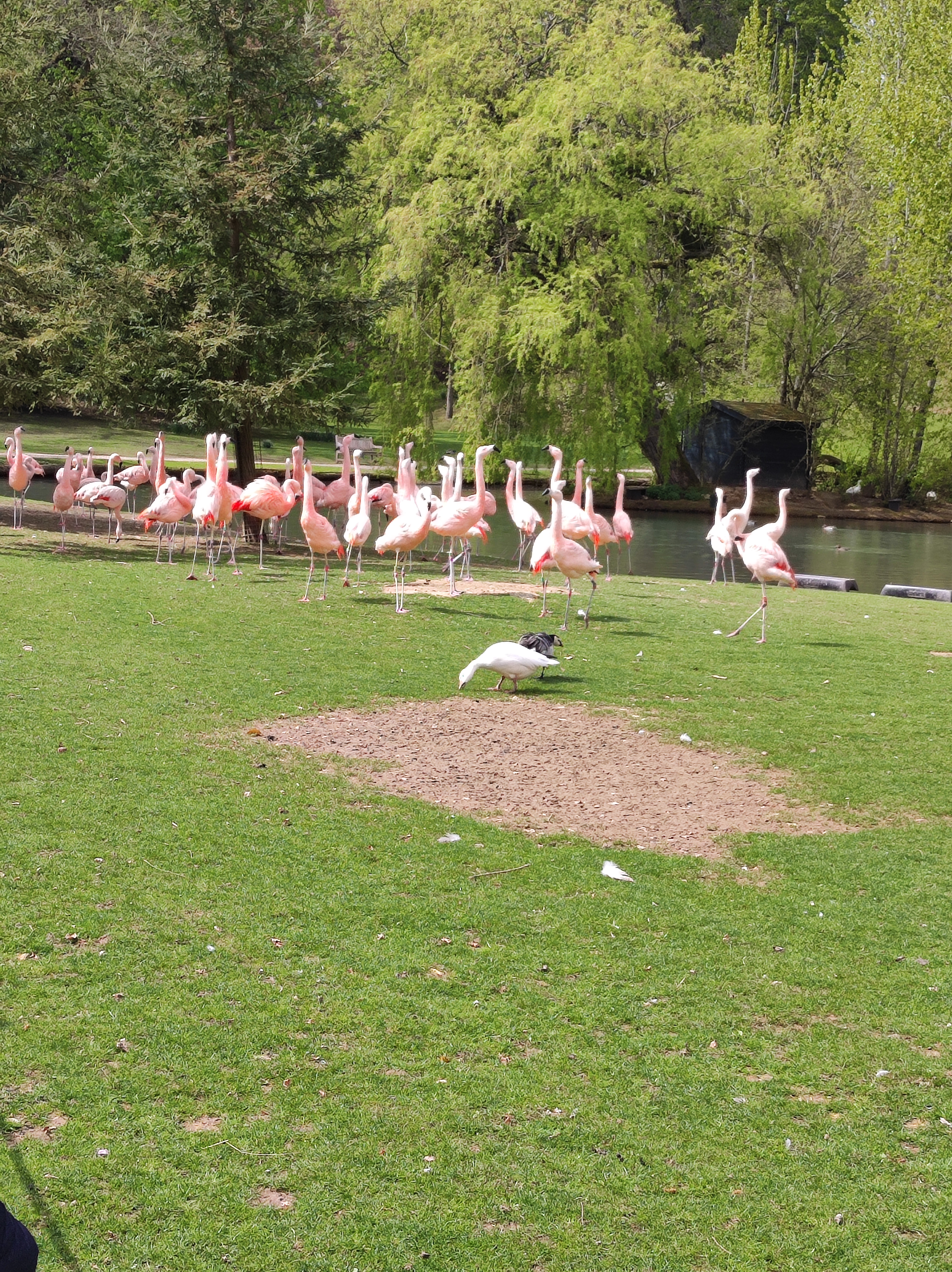 Photo n° 5 de l'avis de Yvonne.a fait le 23/04/2023 à 13:30