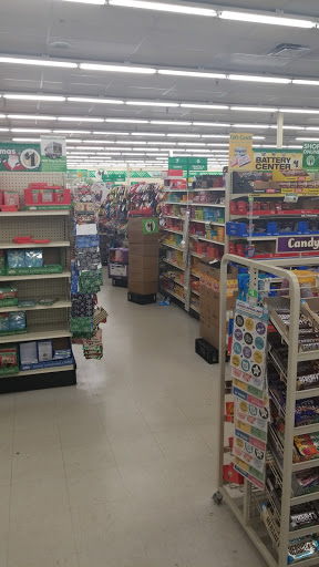 Dollar Store «Dollar Tree», reviews and photos, 4920 Allen Rd, Zephyrhills, FL 33541, USA