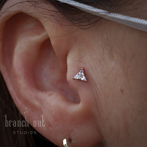 Explore forearm tattoo filler ideas, creative tattoo ideas in Brighton, available at Branch Out Studios - Tattoo & Piercing Lounge