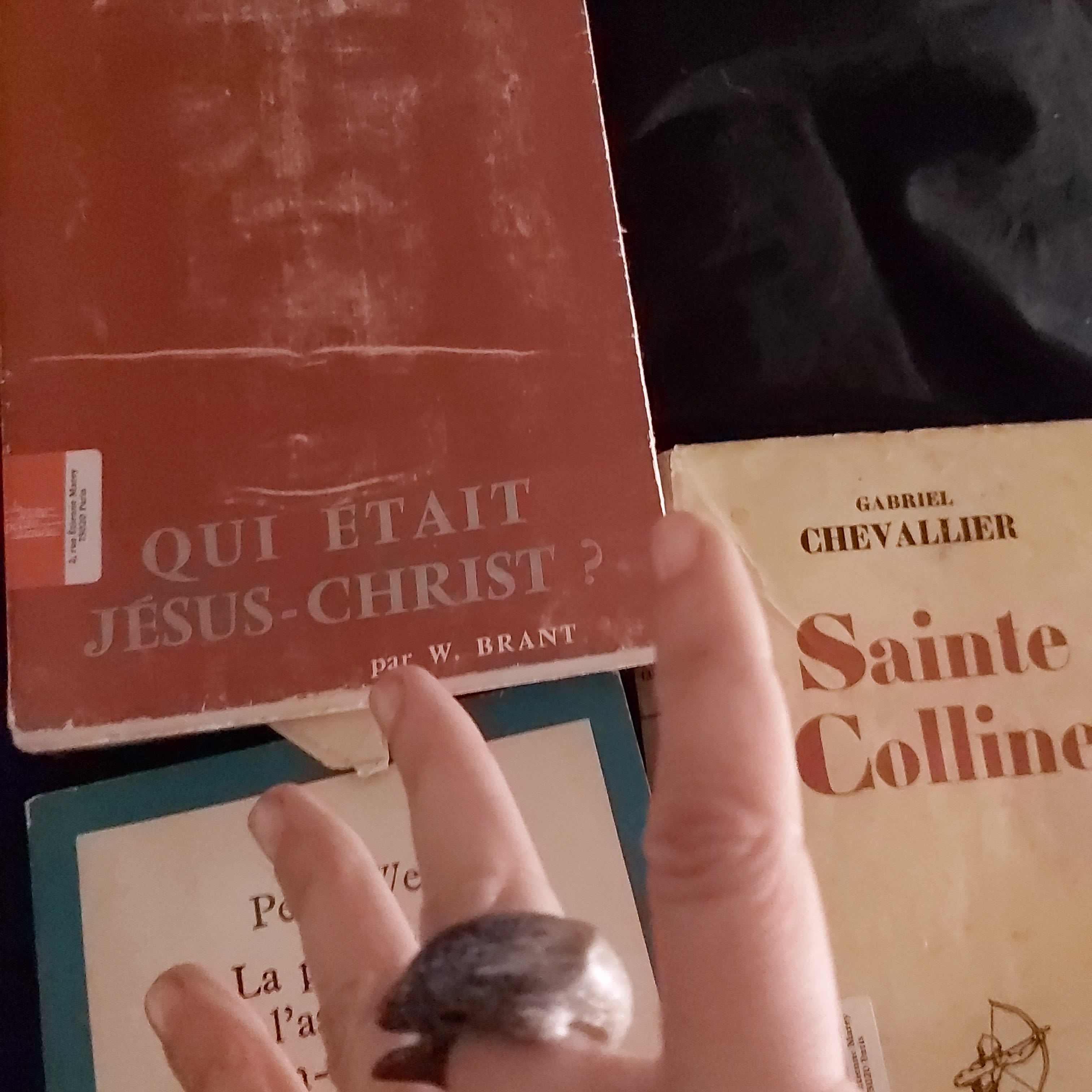 Photo n° 3 de l'avis de Delphine.A fait le 26/03/2021 à 22:06