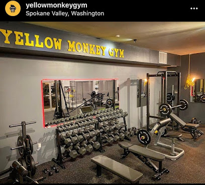 Yellow Monkey Gym