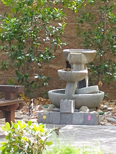 Social Services Organization «The Shade Tree», reviews and photos