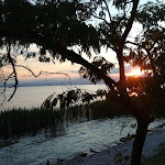 Photo n°5 de l'avis de valentino.a fait le 30/04/2019 à 18:07 sur le  Beach 03 Risto Bar Beach & Live Music à Bardolino