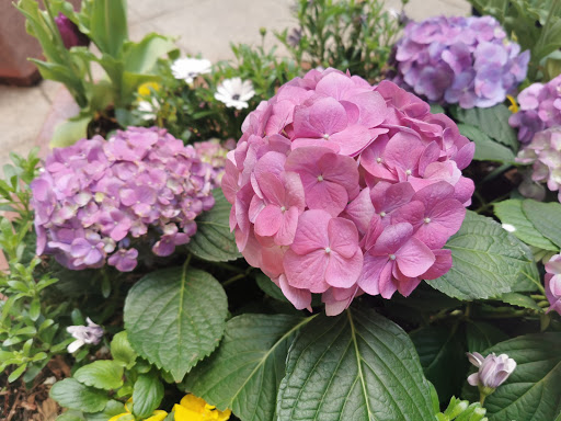 Performing Arts Theater «Gershwin Theatre», reviews and photos, 222 W 51st St, New York, NY 10019, USA