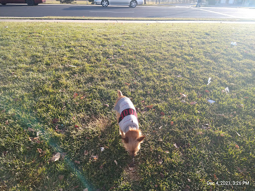 Pet Supply Store «PetSmart», reviews and photos, 3081 S 5600 W, Salt Lake City, UT 84120, USA