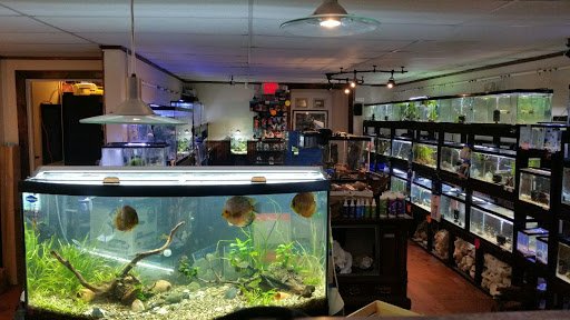 Tropical Fish Store «Aquastetics», reviews and photos, 354 E Main St, Fall River, MA 02724, USA