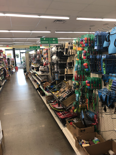 Dollar Store «Dollar Tree», reviews and photos, 4716 Highland Dr, Salt Lake City, UT 84117, USA