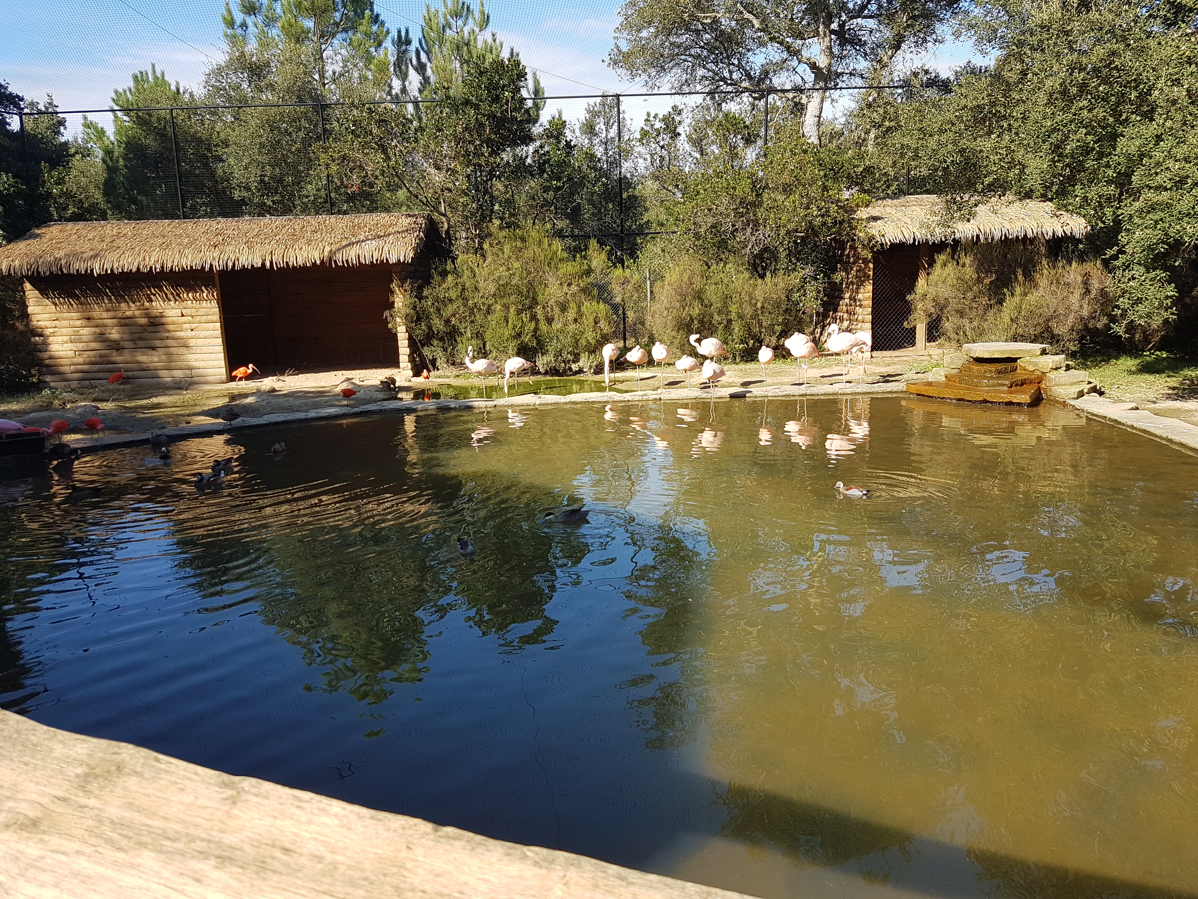 Photo n° 31 de l'avis de mathieu.i fait le 29/09/2019 à 18:29