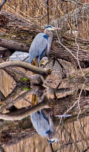 Park «East Rock Park», reviews and photos, 41 Cold Spring St, New Haven, CT 06511, USA