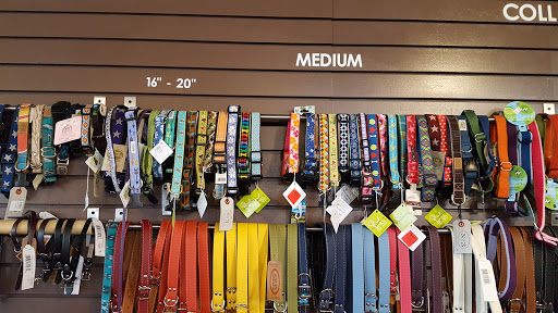 Pet Supply Store «The Urban Pet», reviews and photos, 7515 Beverly Blvd, Los Angeles, CA 90036, USA