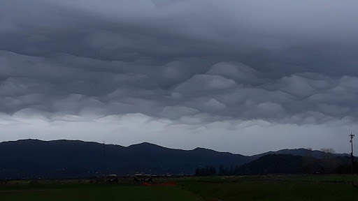 Club «StoneTree Golf Club (A Bay Club Property)», reviews and photos, 9 Stone Tree Ln, Novato, CA 94945, USA